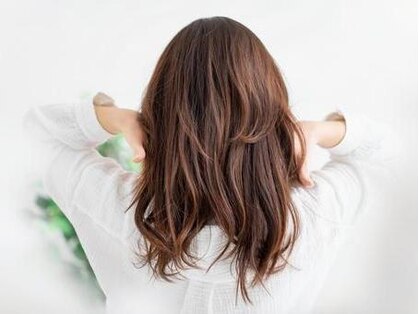 イーズ(ease)の写真