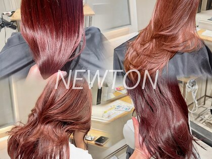 ニュートン(NEWTON)の写真