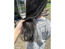 メル(mel.)