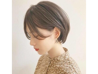 ケルサス(celsus)の写真