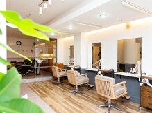 アピシオ(Apicio)の雰囲気（開放的な広々店内）