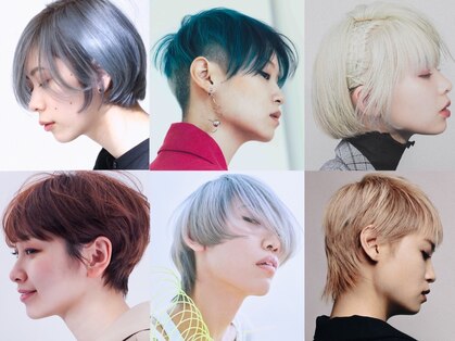 トゥインクル(Twinkle)の写真