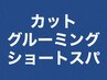 【G】カット+グルーミングシェーブ+ショートスパ