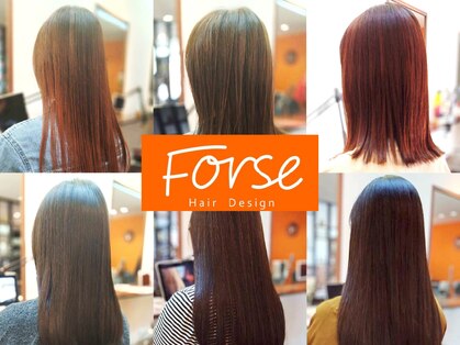 フォルセ(Forse)の写真