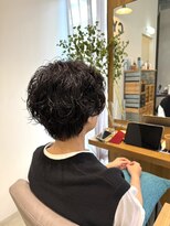 パームスヘアー(Palms Hair)&nbsp;大人のくるくるマッシュパーマ