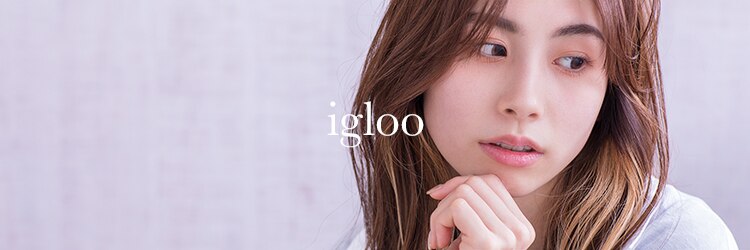 イグルー(igloo)のサロンヘッダー