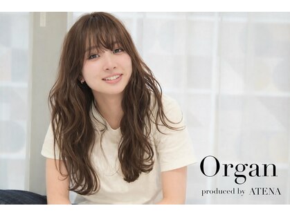 オルガン(Organ)の写真