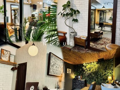 ノードゥス(NODUS)の写真