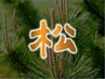 《自分へのご褒美に》松コース
