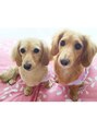 プラスケアハル(PLUS CARE haru) 実家で飼っている“ななちゃん＆ここちゃん”私の癒しです☆
