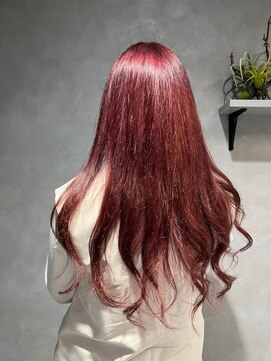 ビス ヘア アンド ビューティー 西新井店(Vis Hair&Beauty) ブリーチありダブルカラー×レッドカラー
