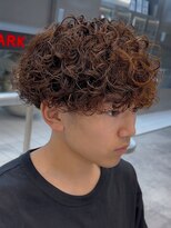 フィフスパーク(fifth PARK)&nbsp;渋谷プードルパーマ強めパーママッシュウルフメンズカット20代