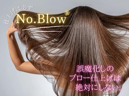 ノーブロー(No.Blow)の写真