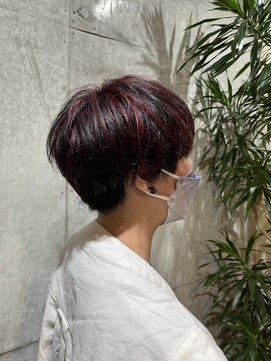 チェリーレッド/バーガンディ/メッシュ/ブリーチカラー