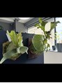 ザパーク(THE PARK)&nbsp;植物がすきです！