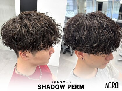 アクロ(ACRO)の写真