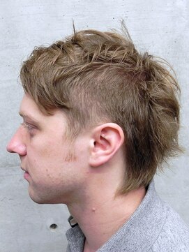 テトラ TETRA ハンサムショート