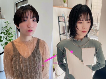 ティラ(tila)の写真