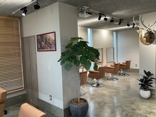 ハニー(Hunny)の雰囲気（落ち着いたら雰囲気のある空間と沢山の動物たちが隠れている店内）