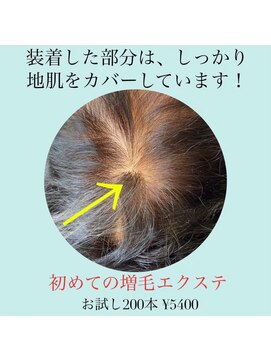 増毛エクステ専門店 エクステルーム 渋谷店(exteroom) お試し！増毛エクステヘアループ★200本！つむじのボリュームUP