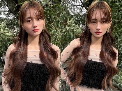 メーヴェ(Mowen)の写真