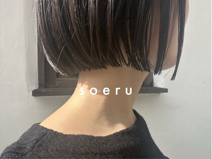 soeru【ソエル】【４月上旬NEW OPEN（予定）】の写真