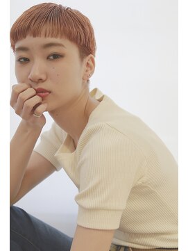 プレディカ(pledica) AI1263