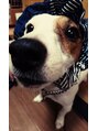 クーラクール(coeur a coeur.) 我が家のペット!犬種は、ジャックラッセルテリアです☆