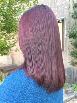 カイト(kaito) ボルドー