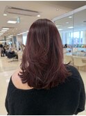 ミディアムレイヤー