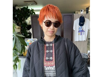 ブリック(brique)の写真