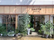 ルシル(Lucile)の雰囲気（植物満載の店外、室内にも植物たちがたくさんあります。）