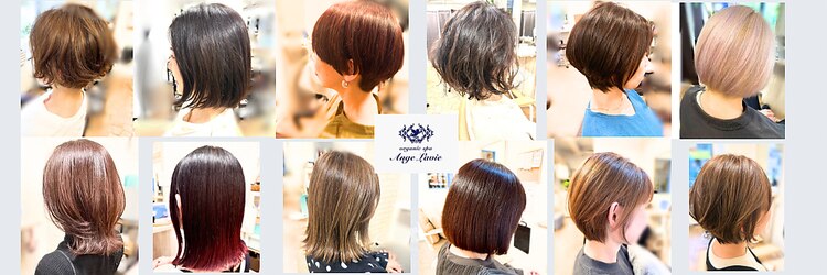 アンジュ ラヴィ(Ange Lavie)のサロンヘッダー