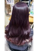 冬のラベンダーカラー