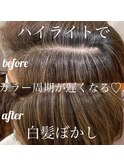大人女性/ハイライト/明るい白髪染め/白髪ぼかし