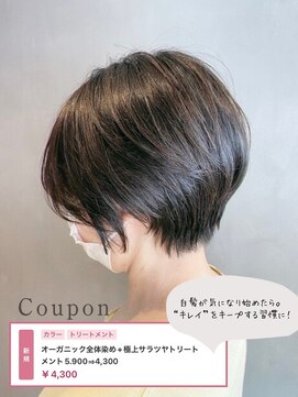 スピーディーカラー 高崎上佐野店 オーガニック全体染め＋極上サラツヤトリートメント