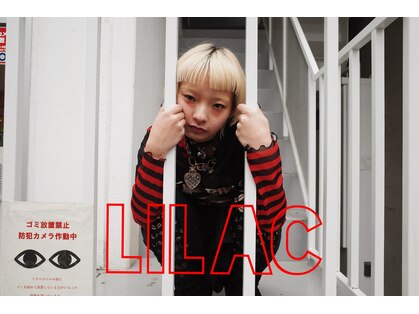 ライラック(LILAC)の写真