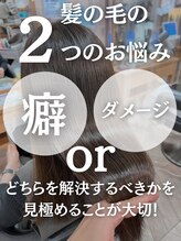 髪の毛の２つのお悩みにそれぞれ合ったメニューをご提案します。