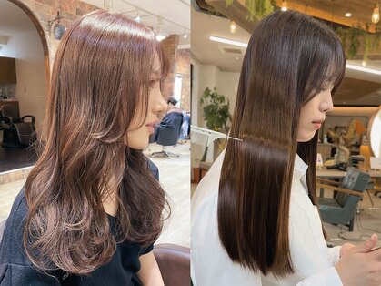 ルーダ(RUEDA)の写真