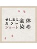 せしまにカラー全体染め【ショート】￥3740