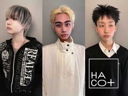 ハコ プラス(HACO+)の写真