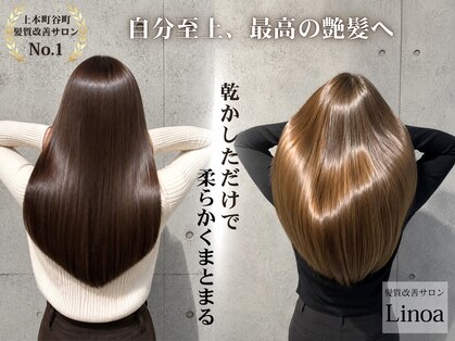 リノア(Linoa)の写真