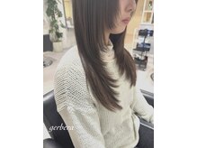 ガーベラ(gerbera)