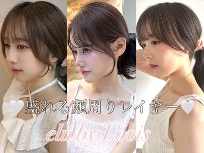 エルバイラビス 大宮(elu by lovis)の写真