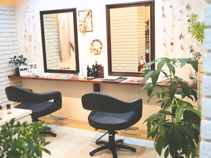 フルミー(fulme.)の写真