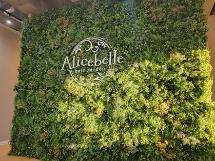 アリスベル(Alicebelle)の写真