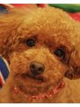 フューエル(FUEL) 愛犬Meri