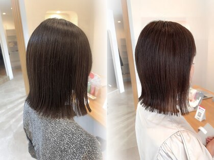 リノ(Lino)の写真