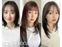 トリッカバルコニー ハヤマ(tricca Balcony Hayama)
