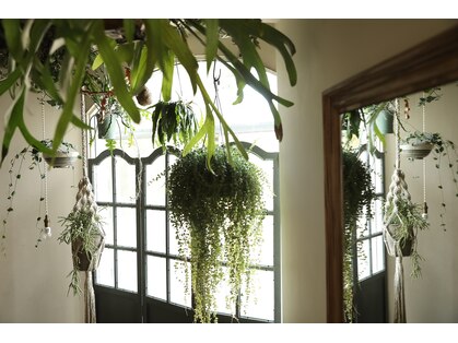 ヘアードレッシングショップ サロ(Hair Dressing Shop Salo)の写真
